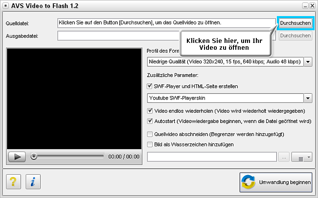 Wie wandelt man ein Video für eine Webseite um? Schritt 2