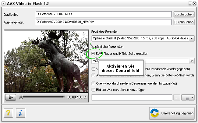 Wie wandelt man ein Video für eine Webseite um? Schritt 3