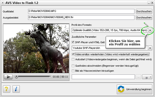 Wie wandelt man ein Video für eine Webseite um? Schritt 4