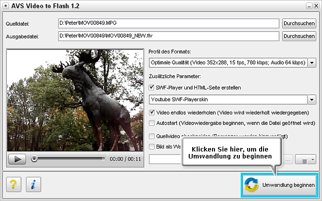 Wie wandelt man ein Video für eine Webseite um? Schritt 6