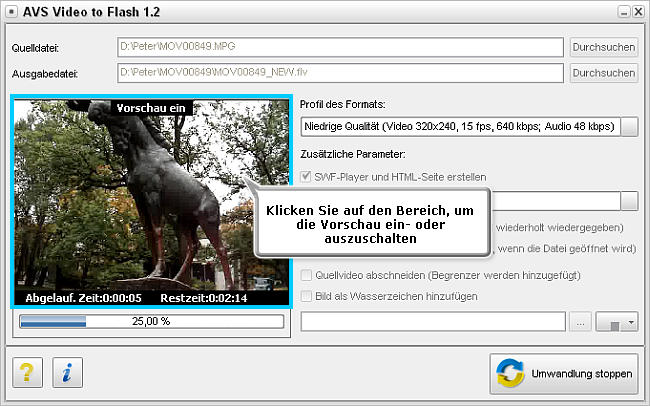 Wie wandelt man ein Video für eine Webseite um? Schritt 6
