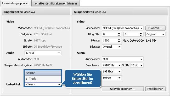 Wie konvertiert man Videos mit den Untertiteln? Schritt 3