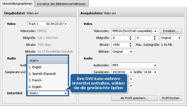 Wie konvertiert man Videos mit den Untertiteln? Schritt 3