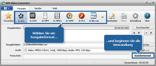 Wie konvertiert man Videos mit den Untertiteln? Schritt 5