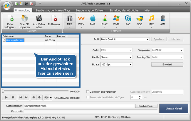 Wie exportiert man den Ton aus einer Videodatei mit dem AVS Audio Converter? Schritt 2