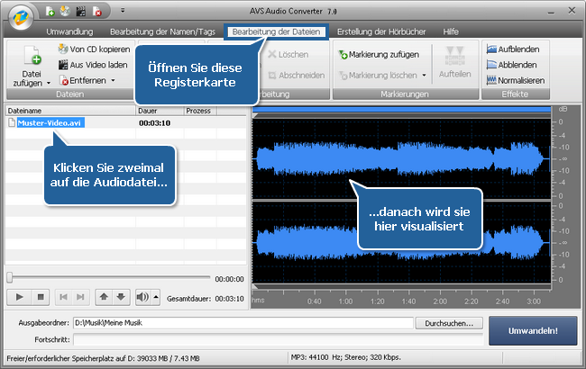 Wie exportiert man den Ton aus einer Videodatei mit dem AVS Audio Converter? Schritt 3