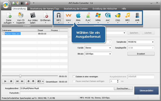 Wie exportiert man den Ton aus einer Videodatei mit dem AVS Audio Converter? Schritt 4