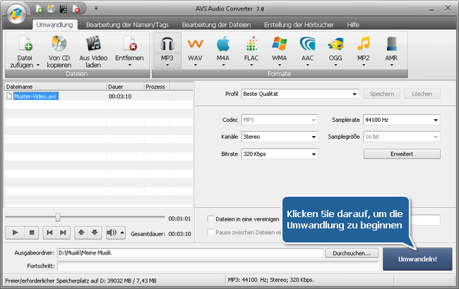 Wie exportiert man den Ton aus einer Videodatei mit dem AVS Audio Converter? Schritt 6