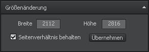 Wie kann man die Größe eines Bildes ändern? Schritt 3