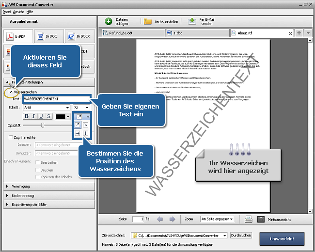 Wie kann man DOC/DOCX-Dateien ins PDF-Format umwandeln? Schritt 3