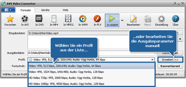 Wie konvertiert man Videos ins WebM-Format? Schritt 3