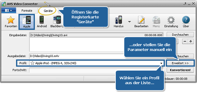Wie rippt man DVD in DivX, Xvid, AVI, MPEG, WMV, MOV, RM? Schritt 3