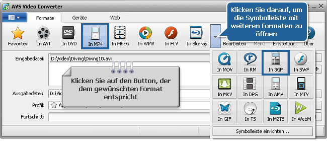 Wie wandelt man Heimvideos ins 3GP- oder MP4-Format für Mobiltelefone um? Schritt 3