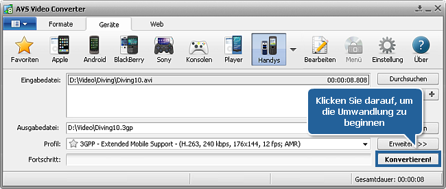 Wie wandelt man Heimvideos ins 3GP- oder MP4-Format für Mobiltelefone um? Schritt 5