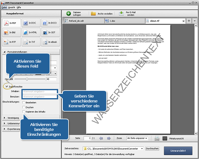Wie kann man DOC/DOCX-Dateien ins PDF-Format umwandeln? Schritt 3