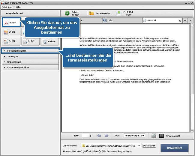 Wie kann man DOC/DOCX-Dateien ins PDF-Format umwandeln? Schritt 3