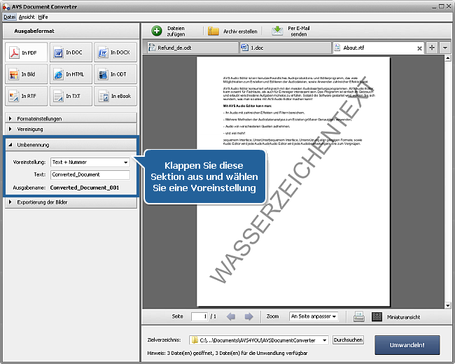 Wie kann man DOC/DOCX-Dateien ins PDF-Format umwandeln? Schritt 4