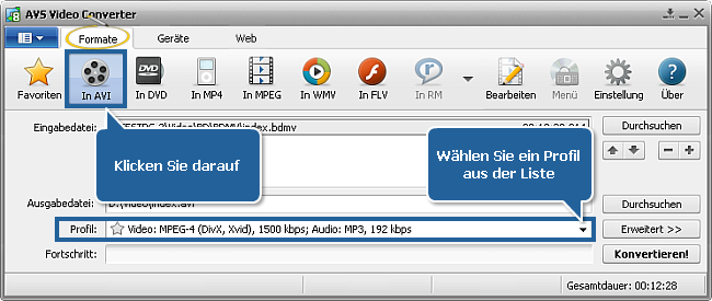Wie konvertiert man ein Blu-ray-Video? Schritt 3