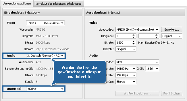 Wie konvertiert man ein Blu-ray-Video? Schritt 3