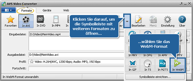Wie konvertiert man Videos ins WebM-Format? Schritt 3