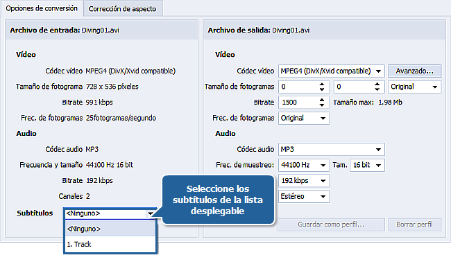 ¿Cómo convertir vídeo con subtítulos? Paso 3