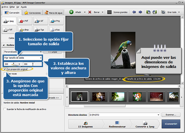 ¿Cómo evitar la pérdida de ciertas áreas de la imagen al redimensionar? Paso 3