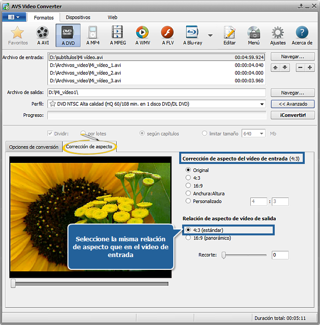 ¿Cómo convertir de AVI a DVD? Paso 3