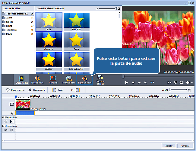 ¿Cómo extraer audio de un archivo de vídeo? Paso 5