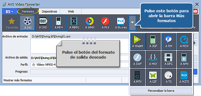 ¿Cómo realizar conversión a muchas pasadas con AVS Video Converter?