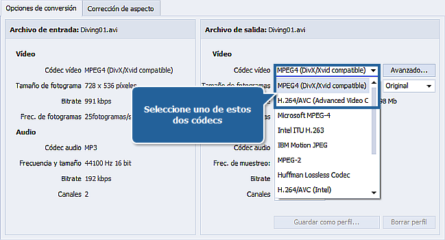 ¿Cómo realizar conversión a muchas pasadas con AVS Video Converter?