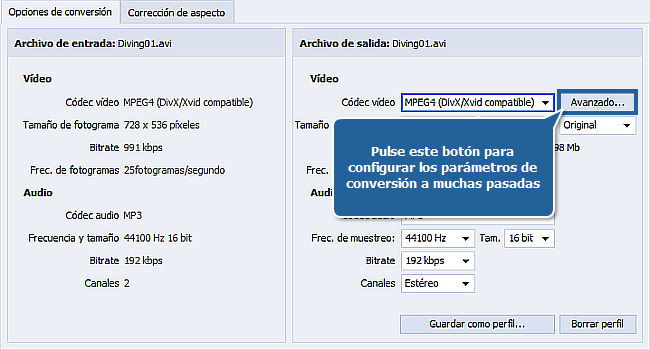 ¿Cómo realizar conversión a muchas pasadas con AVS Video Converter?