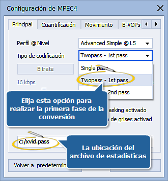 ¿Cómo realizar conversión a muchas pasadas con AVS Video Converter?
