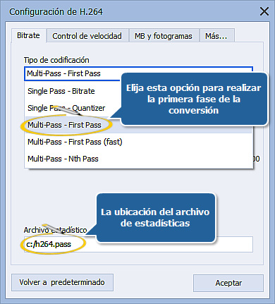 ¿Cómo realizar conversión a muchas pasadas con AVS Video Converter??