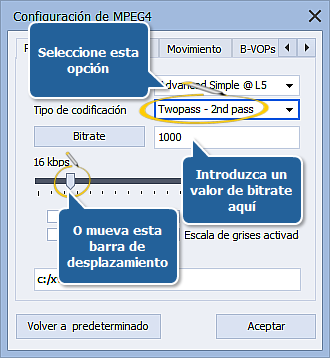 ¿Cómo realizar conversión a muchas pasadas con AVS Video Converter?