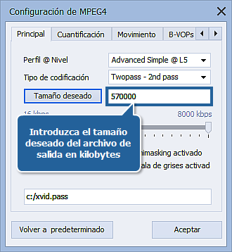 ¿Cómo realizar conversión a muchas pasadas con AVS Video Converter?