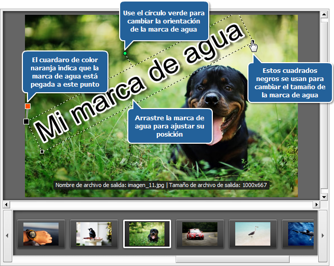 ¿Cómo añadir un logotipo a un grupo de imágenes? Paso 4