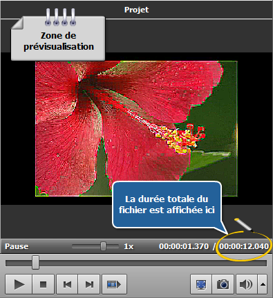 Comment nettoyer une vidéo floue en utilisant AVS Video Editor? Etape 2