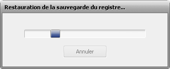 Comment sauvegarder et restaurer le registre avec AVS Registry Cleaner? Etape 5