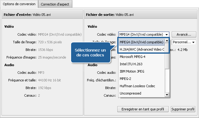 Comment effectuer la conversion à passages multiples avec AVS Video Converter? Etape 4