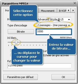 Comment effectuer la conversion à passages multiples avec AVS Video Converter? Etape 6
