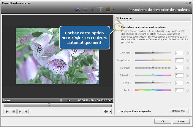 Comment corriger les couleurs d'une vidéo avec AVS Video Editor? Etape 2