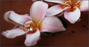 Comment cloner une partie de l'image en utilisant l'outil Retouche? Etape 3