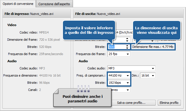 Come ridurre la dimensione del video sorgente usando AVS Video Converter? Passo 5