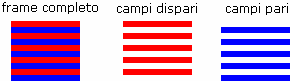 Tutto il fotogramma e i suoi campi