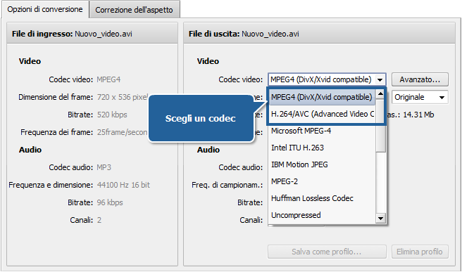 Come effettuare la conversione in più passaggi con AVS Video Converter? Passo 4