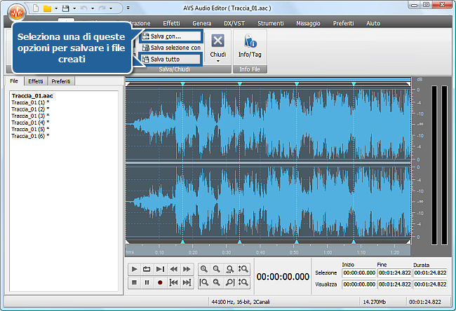 Come dividere un file audio in tracce separate con AVS Audio Editor? Passo 5