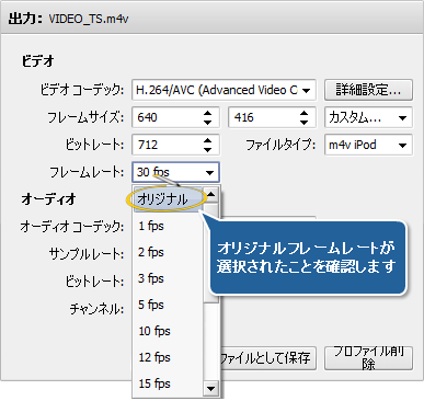 PAL から NTSC カラーシステムに変換する方法。ステップ 3