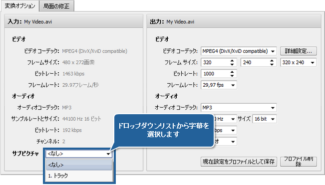 字幕付きビデオの変換方法。ステップ 3