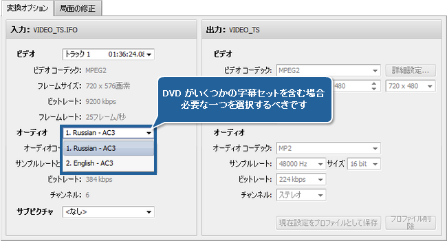 字幕付きビデオの変換方法。ステップ 3