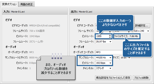 AVS Video Converter によってビデオサイズを減少する方法。ステップ 5